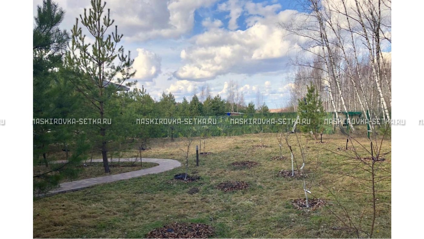 Маскировочная сеть МКТ-3Л Листва 3х6 м – купить по цене 9500 руб. в интернет-магазине в городе Астрахань картинка 34