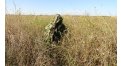 Маскировочный халат Taganrog Кикимора – купить по цене 3550 руб. в интернет-магазине в городе Астрахань картинка 13